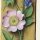 Eglantier fleur – Grandes Heures d'Anne de Bretagne, J. Bourdichon, f113r