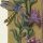 Centaurée jacée – Grandes Heures d'Anne de Bretagne, J. Bourdichon, f53r