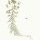 Euphorbia segetalis - wikimedia commons