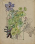 Euphorbia, Vinca - Mackintosh - aquarelle, 1909
