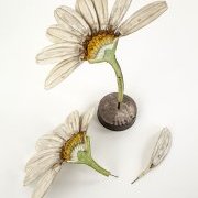 Fleur de chrysanthème ouverte - modèle anatomique du Dr Auzoux - © Munaé