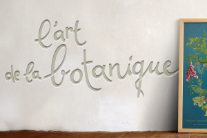 visiter ma p'tite boutique botanique